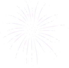 Fireworks image